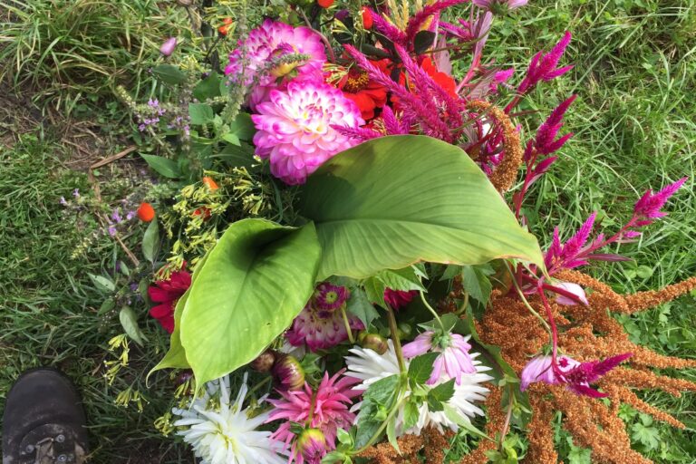 Bouquet horizontal 0EB07B80-BA8F-4EDE-BB5F-F99DC33B52FF