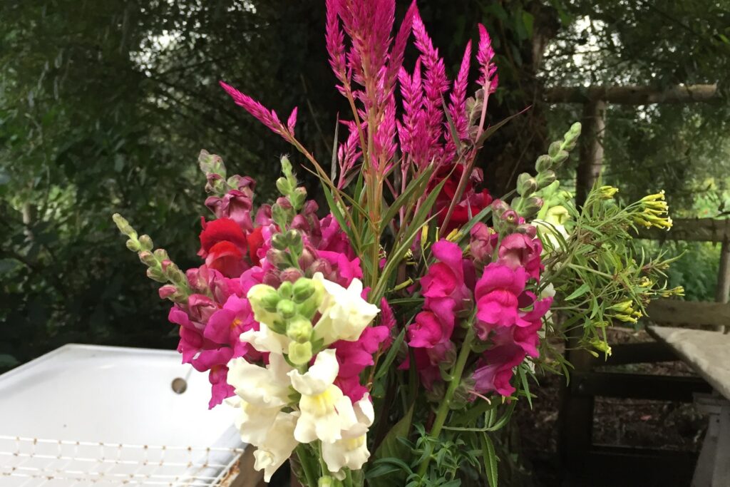 bouquet horizontal B5F4C0D4-00B8-4B93-96DA-FB5434409102